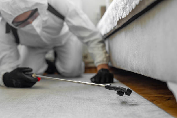 Professional Bed Bug Control technician working in Ridgely, MD