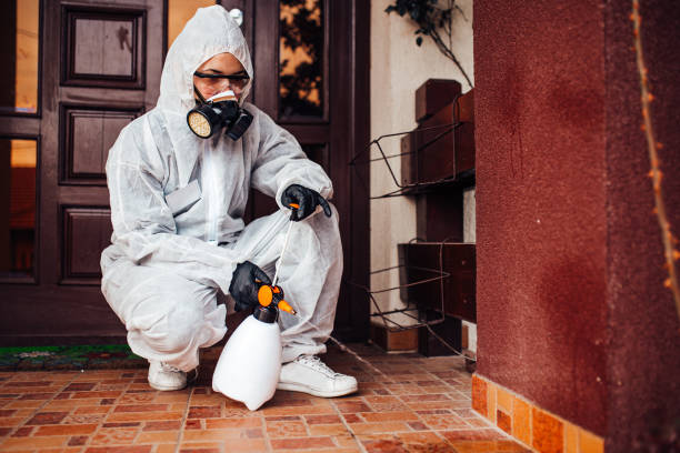Reliable Bed Bug Control contractor in Ridgely, MD by Nex Pest Control